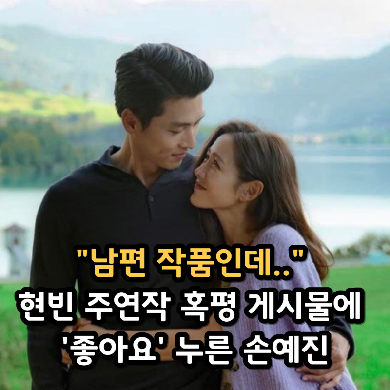"남편 작품인데.." 현빈 주연작 혹평 게시물에 '좋아요' 누른 손예진