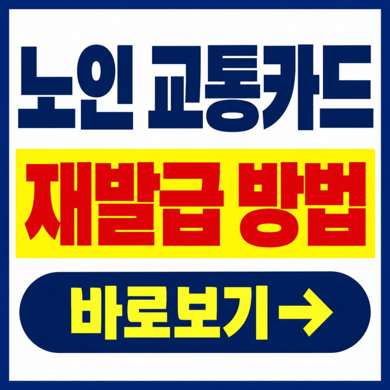 노인 교통카드 분실했다면? 재발급 방법·비용 총정리