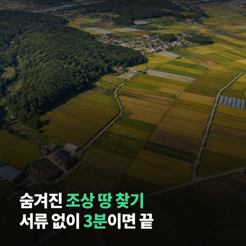 조상 땅 찾기 3분이면 끝난다는데, "찾고 나서가 진짜"라는 이유