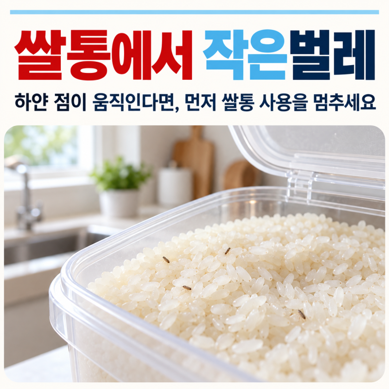 울산 쌀통에서 작은벌레 같은게 움직인다면 먼저 해야 할 대처법