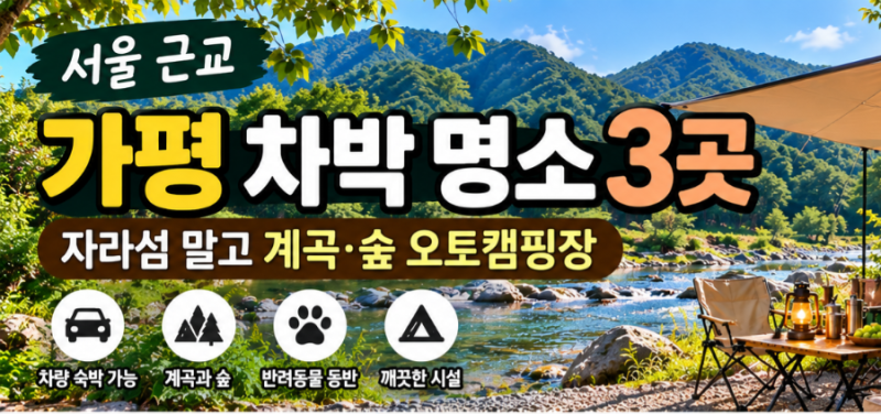 (서울 근교) 가평 차박 명소 3곳｜자라섬 말고 계곡·숲 오토캠핑장