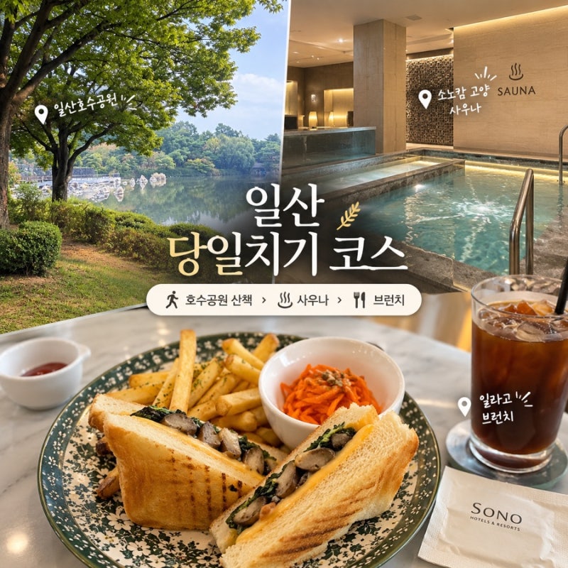 일산 가볼만한곳｜호수공원 산책부터 소노캄 고양 사우나까지