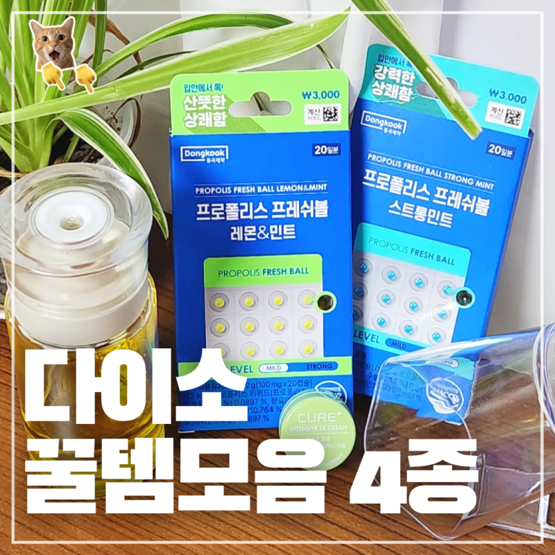 다이소 김정문알로에 큐어크림 품절되기 전 쟁여템 추천 4가지