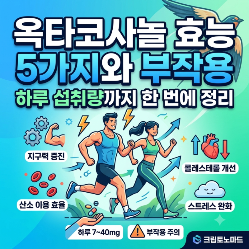 옥타코사놀 효능 5가지와 부작용, 하루 섭취량까지 한 번에 정리