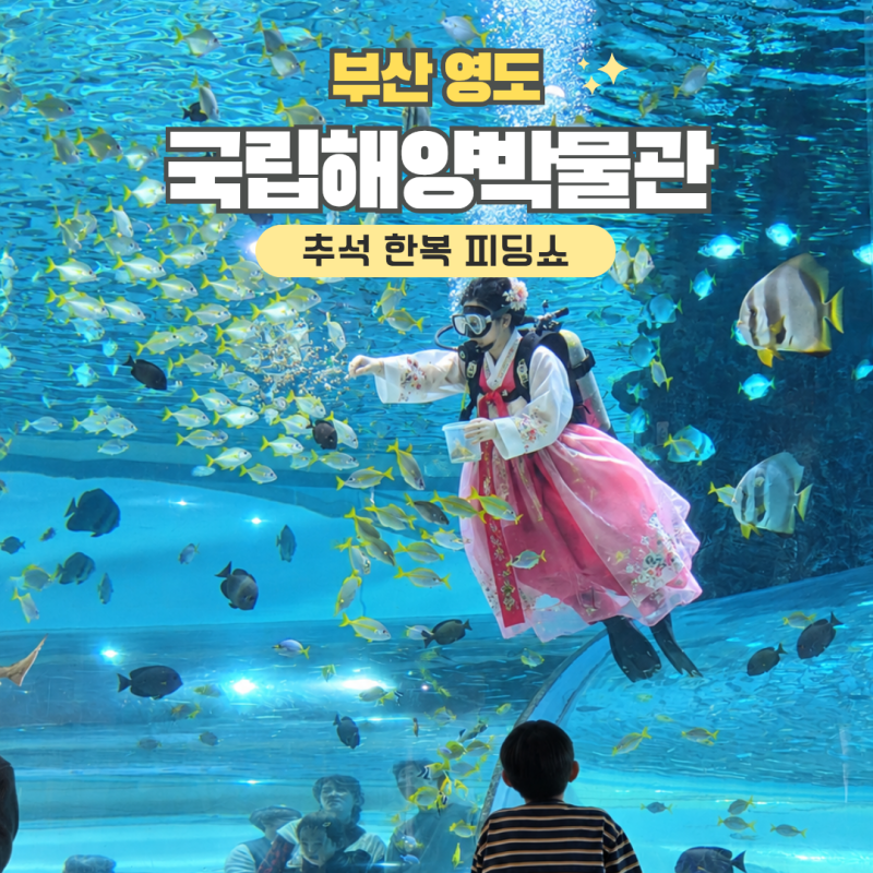 부산 국립해양박물관 추석연휴 행사 한복 다이버 피딩쇼 시간