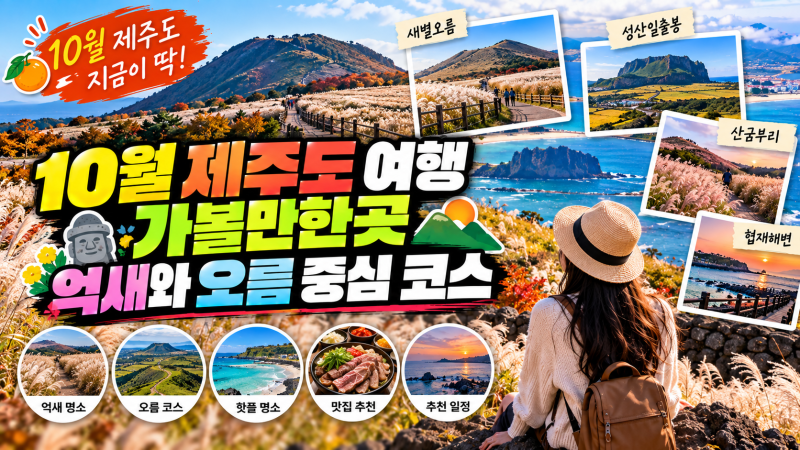 # 10월 제주도 가볼만한곳, 억새와 오름 중심으로 짜는 코스