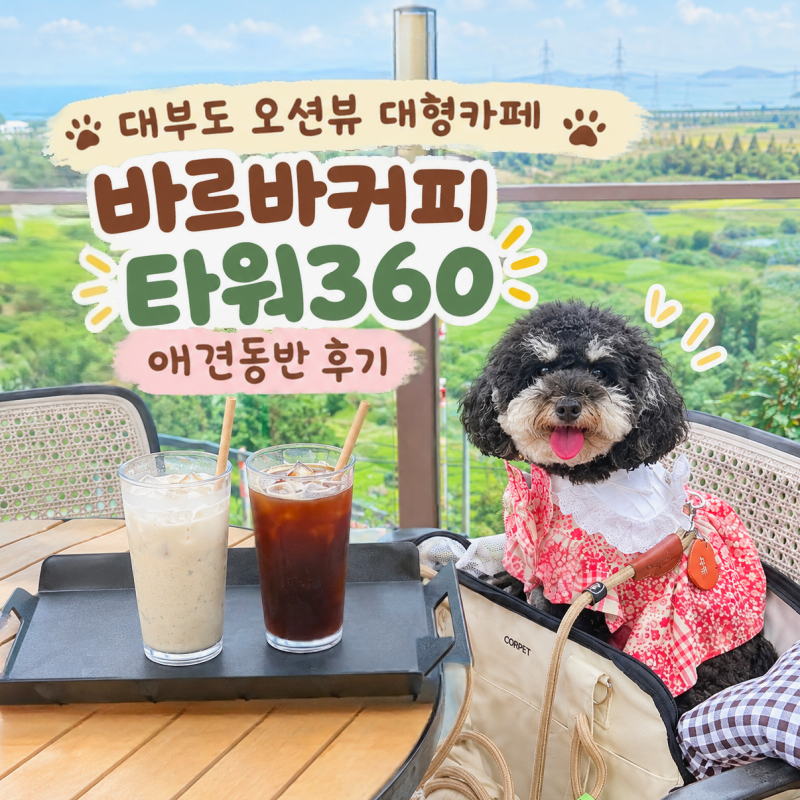 안산 대부도 애견동반 카페｜오션뷰 베이커리 대형카페 [바르바커피 타워360] 강아지랑 식물....