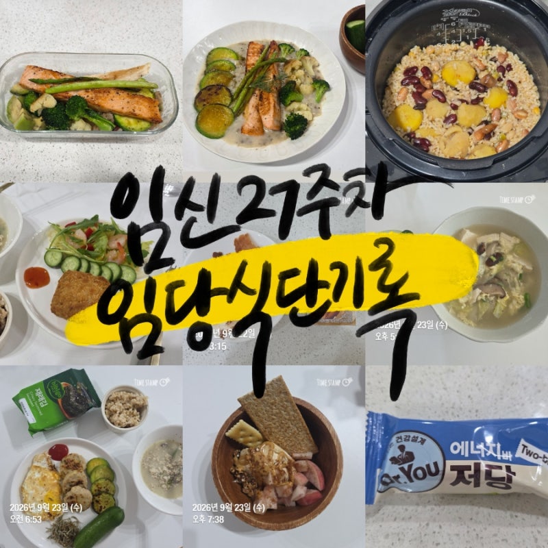 임신 26W 6D,27W 0D~1D | 임당 식단 기록, 수치 in 음식 발굴하기! 가뿐한끼닭가슴살카레, XO굴림만....