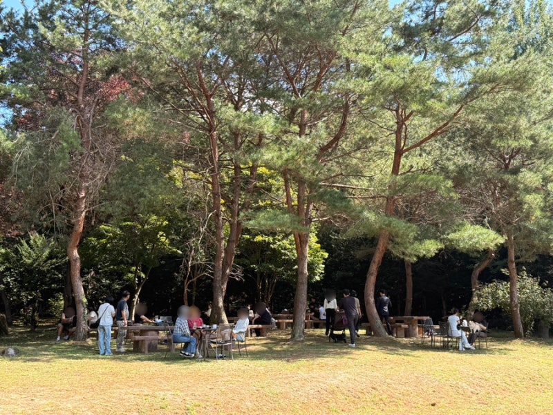 천안 산 속 숲뷰 테라스 초대형카페 애견동반 추천, 인주카페 풍경점