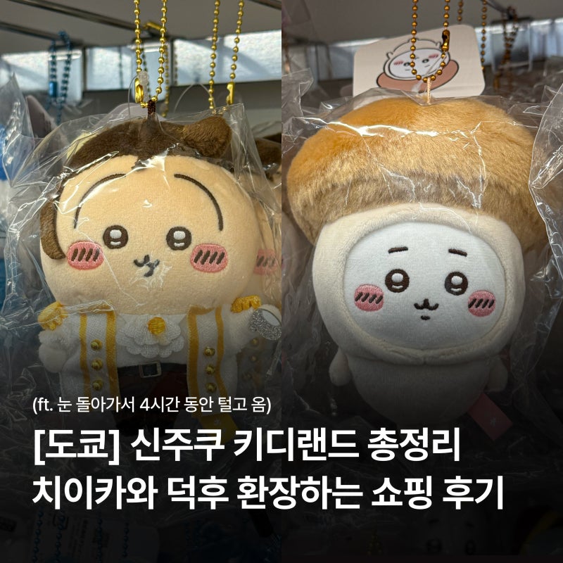 도쿄 일본여행 필수 코스! 신주쿠 키디랜드 치이카와 굿즈 쇼핑 후기(ft. 4시간 털고 온 썰)