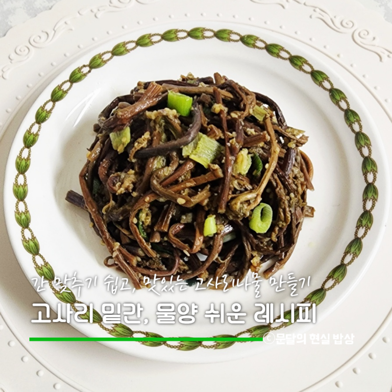 국산 데친 고사리나물 볶음 밑간, 물기, 물 계량 없이 만드는법