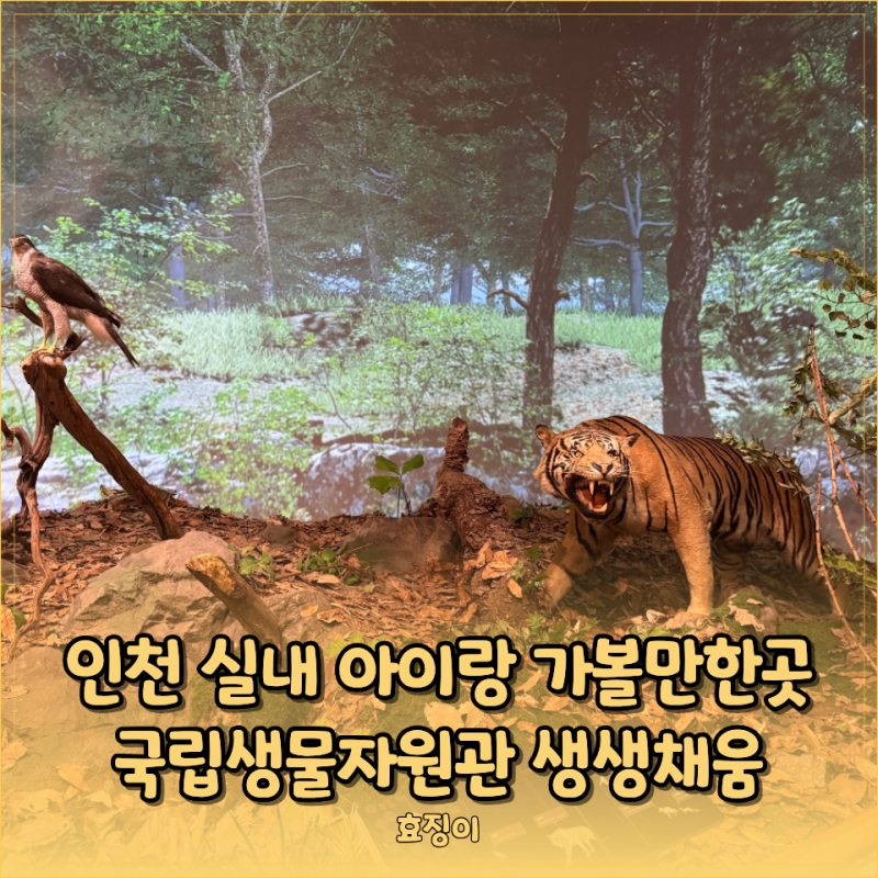 Incheon National Institute of Biological Resources: A Great Place for Kids (Parking, Facilities)