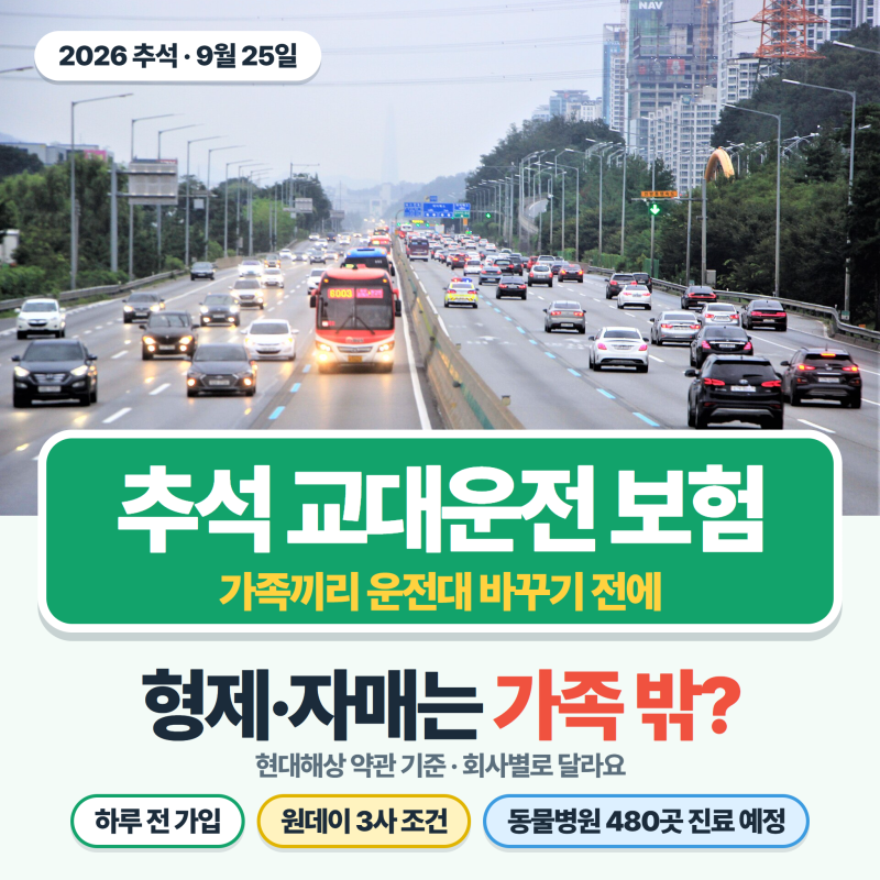 추석 교대운전 보험, 형제·자매는 가족 밖? 하루 전 가입과 반려동물 대비