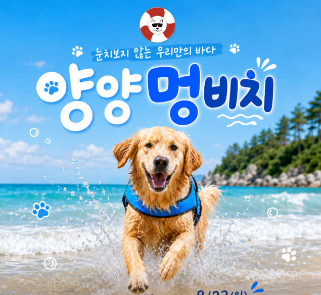 견주도 댕댕이도 만족도 100%! 국내 애견동반 명소 TOP 5 총정리
