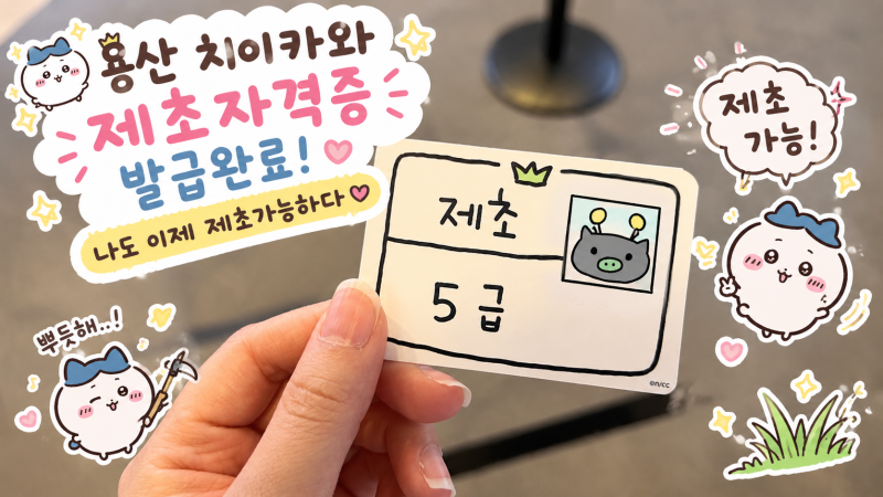 용산 치이카와 제초자격증 발급방법 - 나도 이제 풀뽑기 가능!