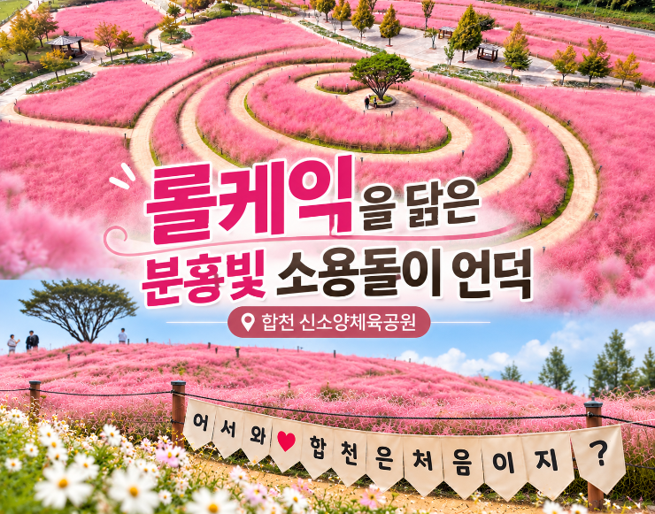 경남 핑크뮬리 명소 합천 신소양체육공원, 롤케잌을 닮은 핑크빛 언덕