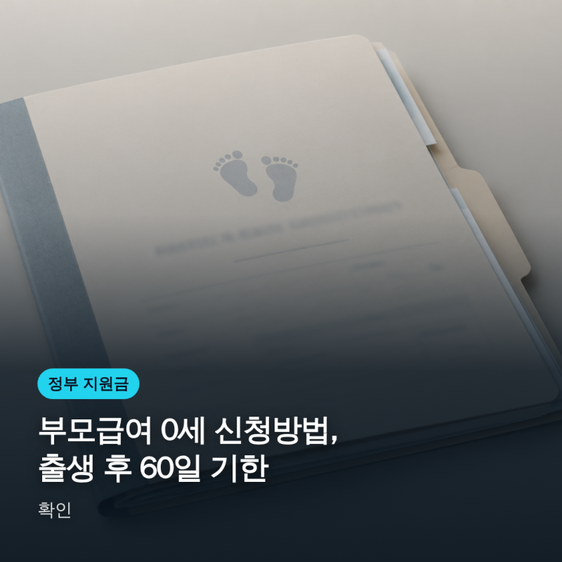 부모급여 0세 신청방법, 출생 후 60일 기한 확인