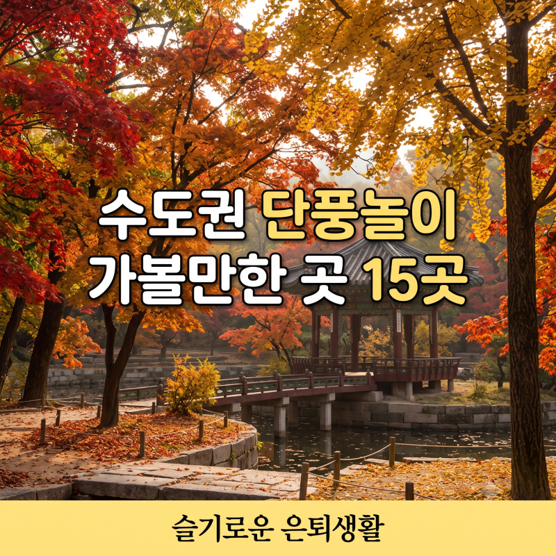 수도권 단풍놀이 가볼 만한 곳 15곳, 화담숲은 예약부터 서두르세요