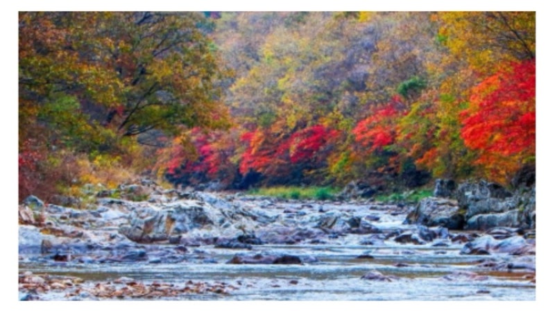 Yanggu Attractions: Walking the Road to Geumgangsan, Dutayeon Participation Application, Reservation, and Preparations