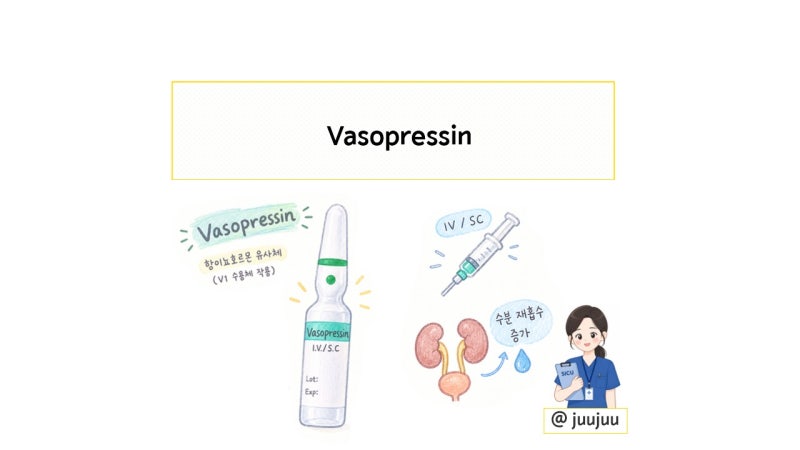 Vasopressin 기전 핵심정리: IV·SC 임상 활용부터 혈관수축·수분조절까지