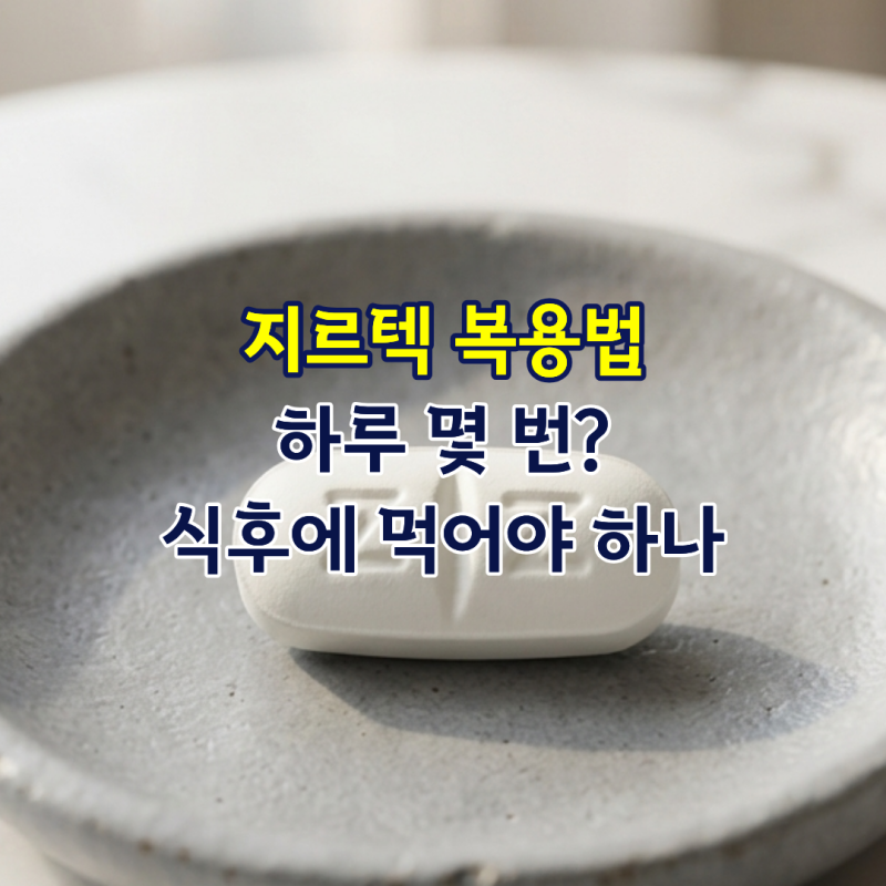 지르텍 복용법 하루 몇 번, 식후에 먹어야 하나