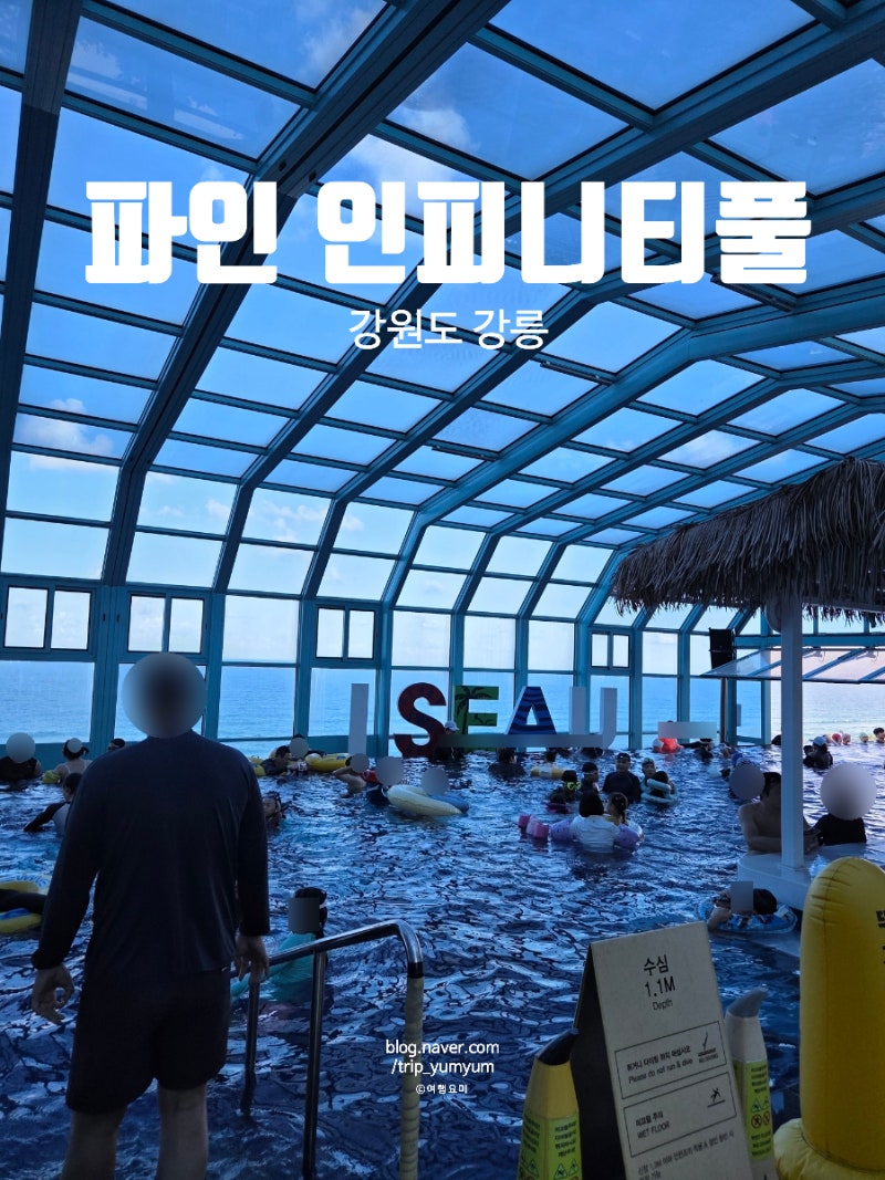 강릉 세인트존스 파인 인피니티풀 위치부터 할인 팁, 복장 규정, 버블 타임 시간 총정리