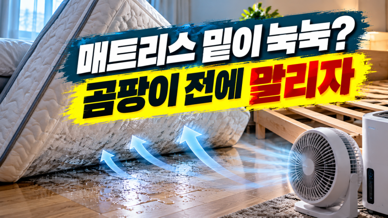 매트리스 밑이 눅눅할 때 곰팡이 생기기 전 말리는 방법