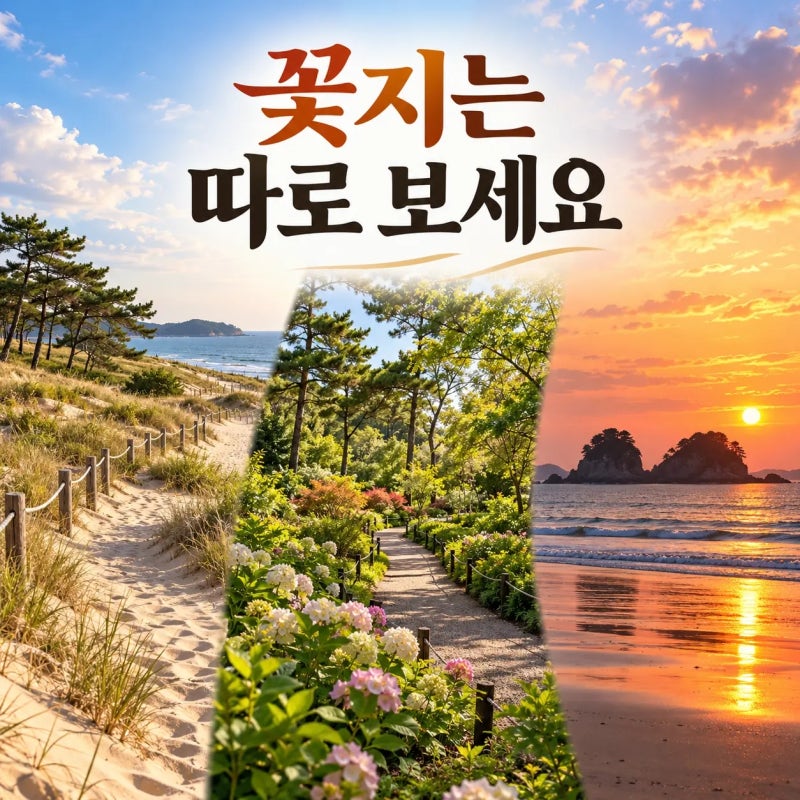 If It's Your First Time Visiting Taean, Go in This Order: Sinduri, Cheollipo, Mallipo