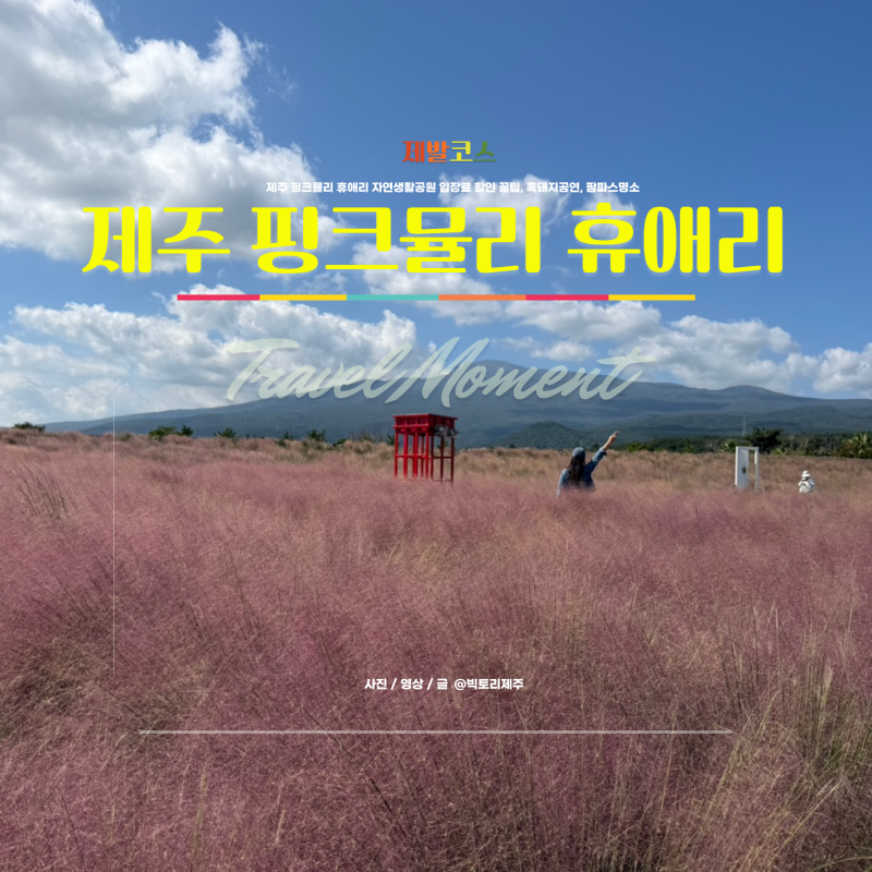 제주 핑크뮬리 휴애리 자연생활공원 입장료 할인 꿀팁, 흑돼지공연, 팜파스명소
