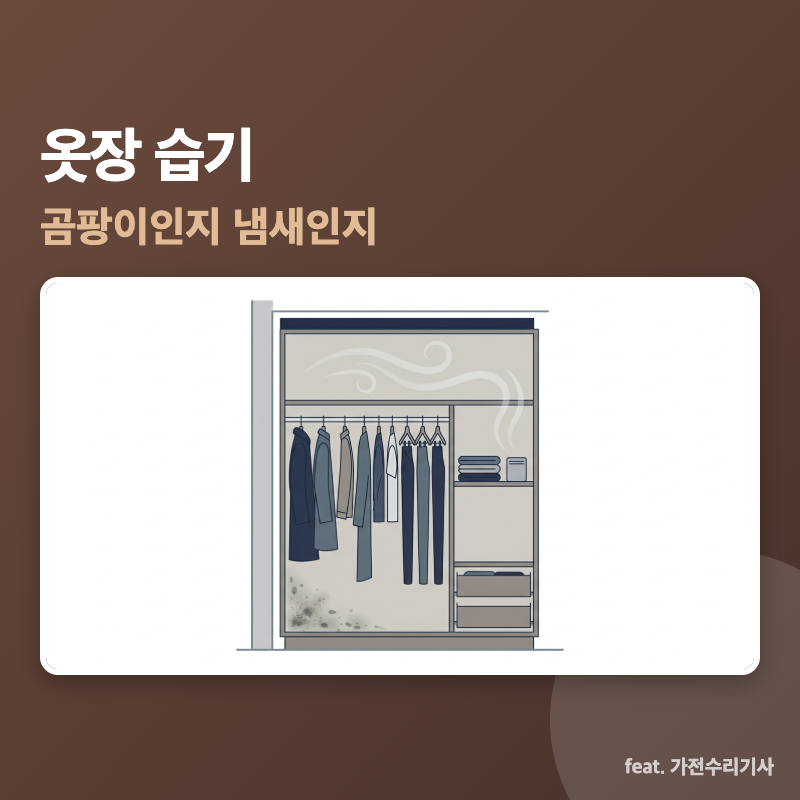 옷장 습기, 곰팡이인지 냄새인지부터 갈라야 합니다 (옷장 곰팡이·옷장 제습제)