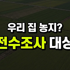 농지 전수조사 대상, 우리 집 농지도 해당될까? 상속·대응 방법까지 정리