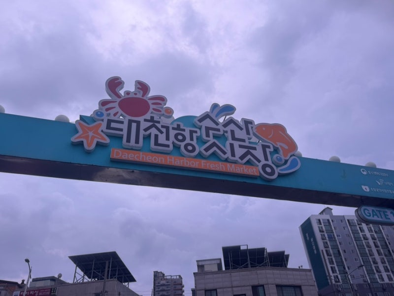 대천항 수산시장 대하 가격 후기, 공영주차장 꿀팁