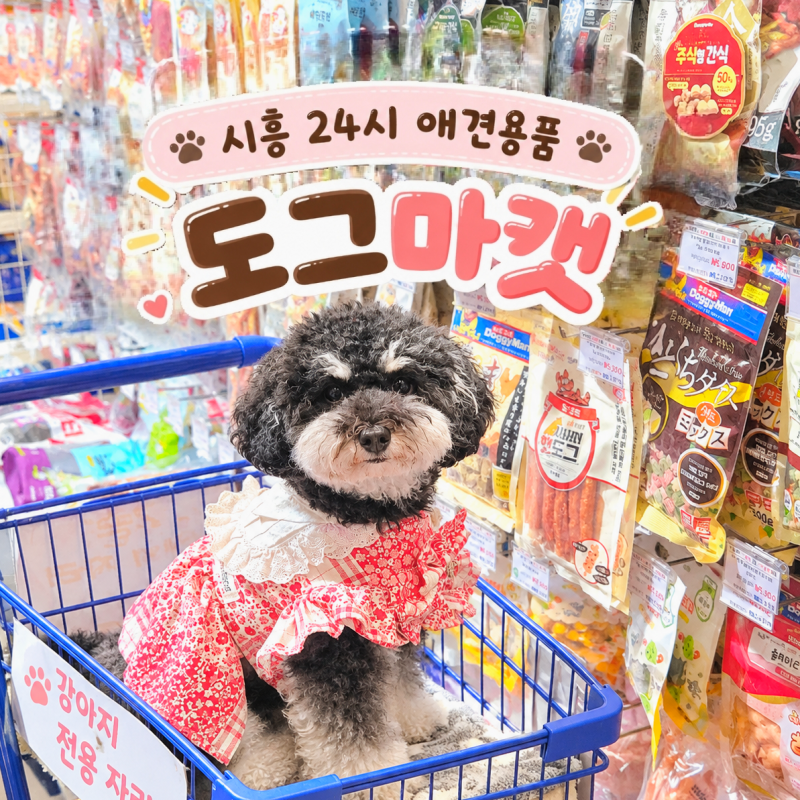 시흥 24시 무인 애견용품｜물왕저수지 산현동 애견동반 [도그마캣 시흥목감점] 강아지랑 쇼....