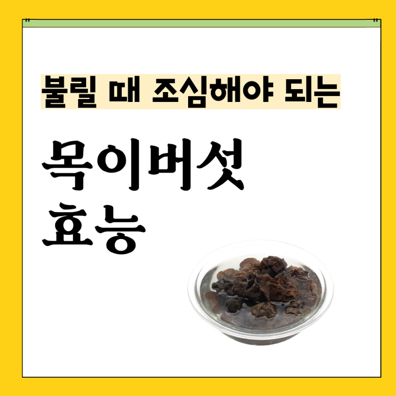 목이버섯, 실온에 오래 불리면 위험하다고? 목이버섯 효능 부작용 손질 보관방법