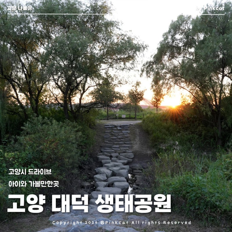 Gyeonggi-do Goyang City: Daejeok Ecological Park, a Great Place for a Drive with Kids