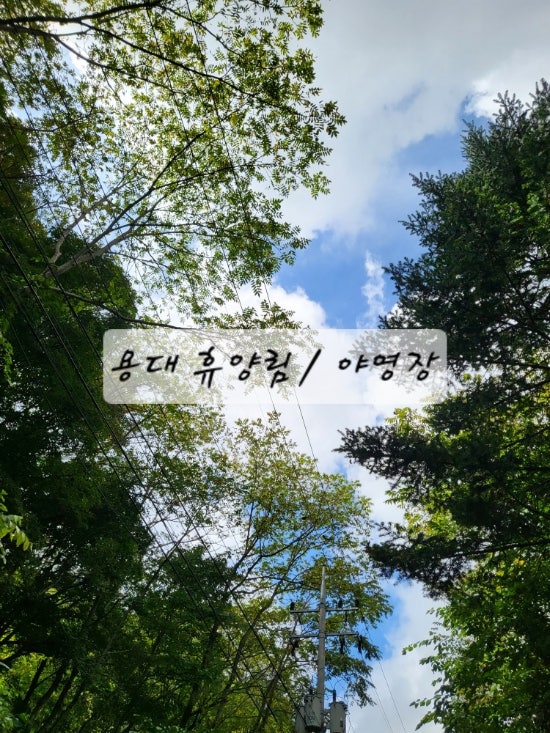 [강원/인제] 용대 휴양림, 야영장 ㅡ 숲길에서 힐링을, 숲길에서 여유를