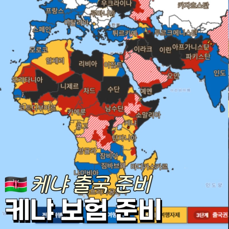 재외공관 현장실습원 보험 준비｜어시스턴트카드 vs 인슈플러스 장기체류보험