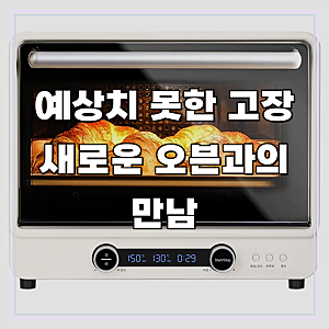 리빙웰 40L 대용량 컨벡션오븐 상하독립열선 전기오븐 AF400, AF400
