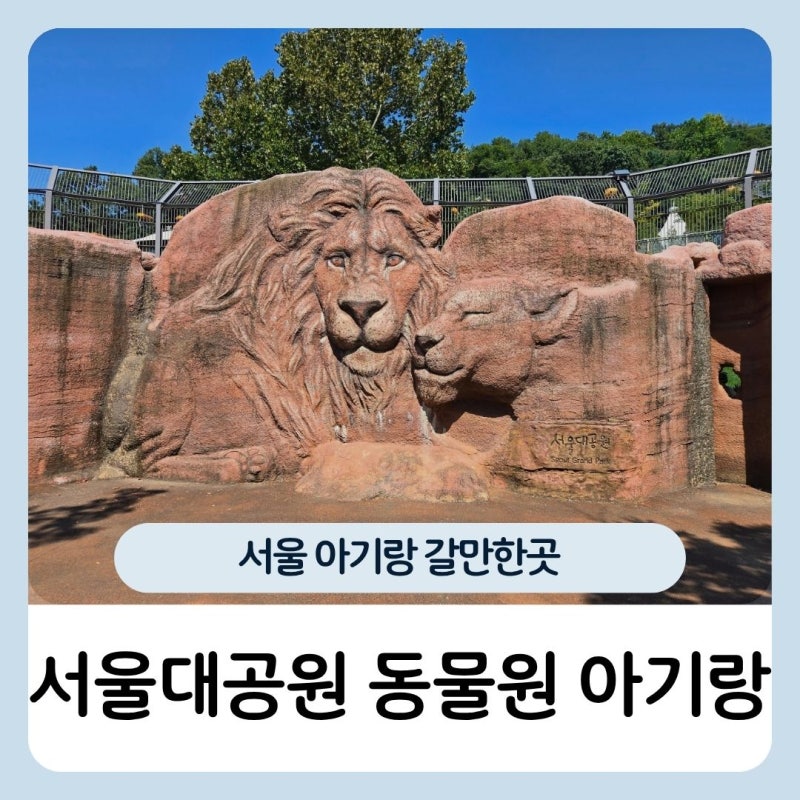 서울대공원 동물원 입장료 리프트 코끼리열차 아기랑 재방문