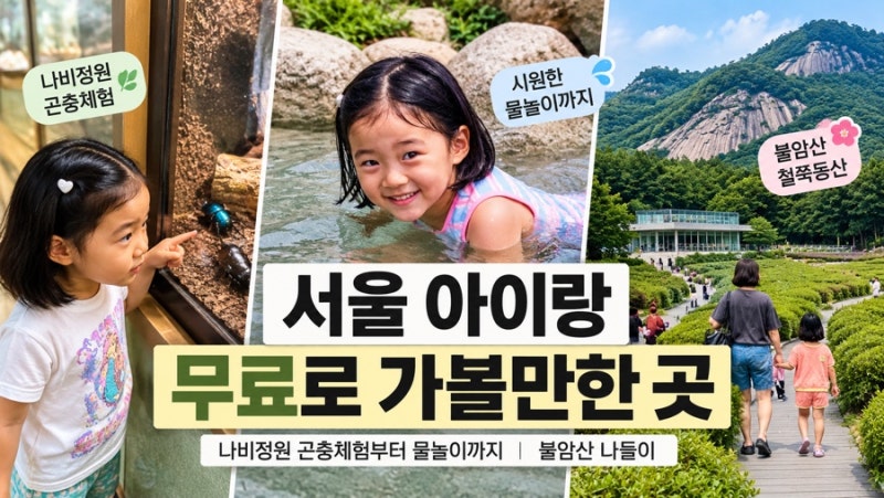 서울 아이와 가볼만한곳 불암산 나비정원｜무료 곤충체험부터 물놀이까지