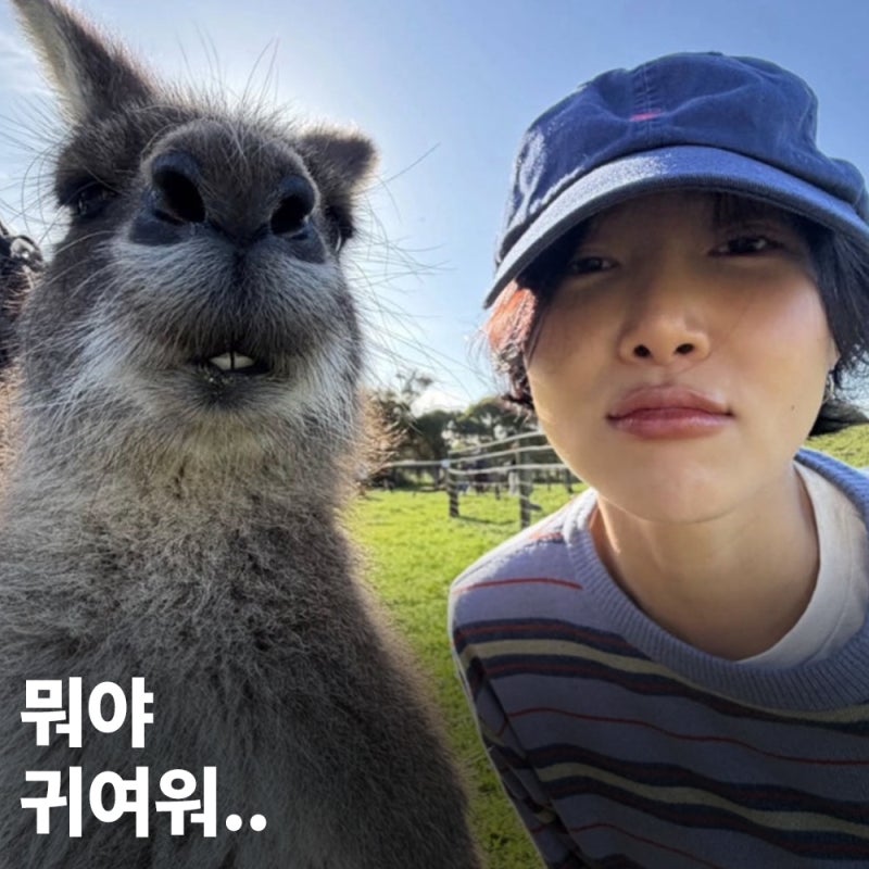 화사, 캥거루와 찰칵! 호주 여행에서 입은 11만원대 니트
