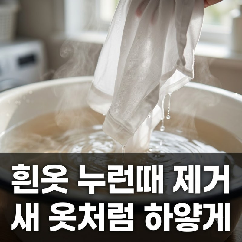 흰옷 누렇게 변했을 때 하얗게 만드는 세탁 방법 총정리