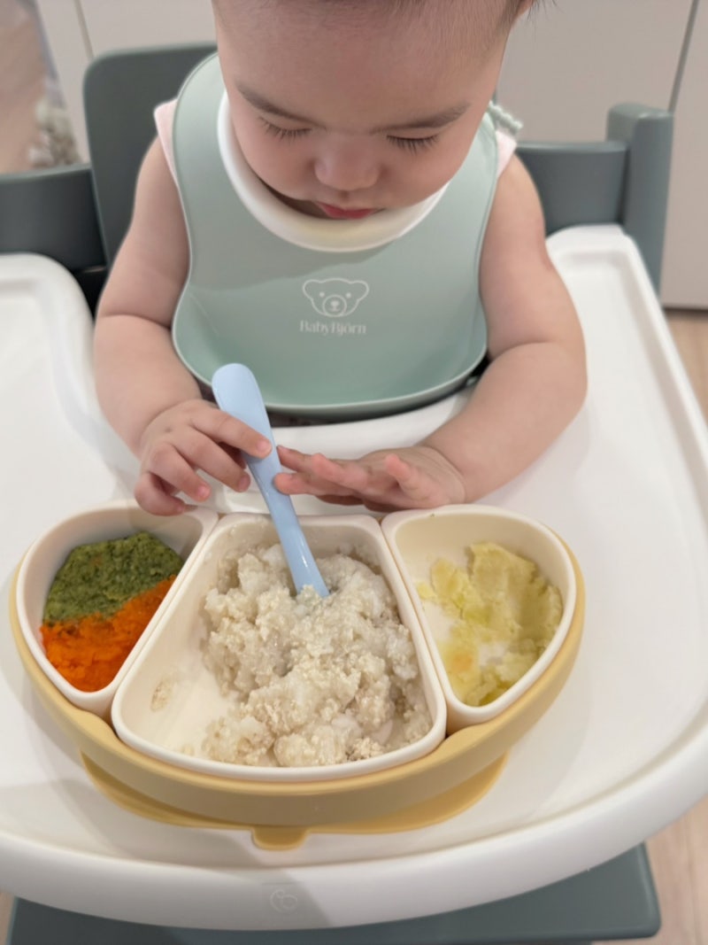 아기식판 추천, 모윰 스타터 디바이더 흡착식판 사용 후기