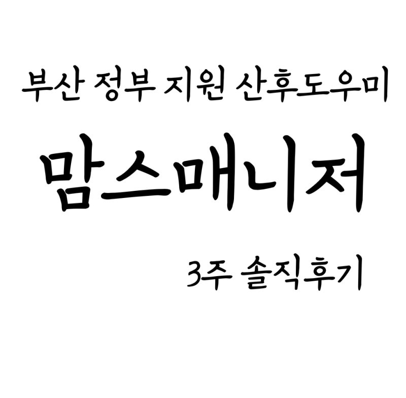 부산 맘스매니저 정부 지원 산후도우미 3주 후기