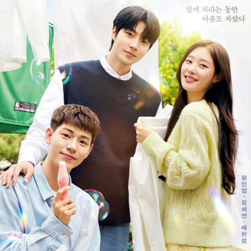 Netflix Drama Recommendation: The Assembled Family - Plot, Ending, Hwang In-youp, Jung Chae-yeon, Bae Hyun-sung, and Original Work Comparison