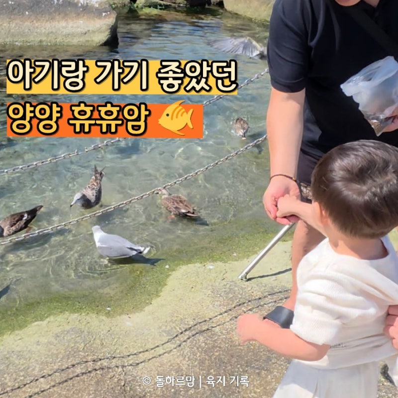양양 휴휴암 아이랑 가볼만한곳 | 물고기 보고 온 후기 주차까지