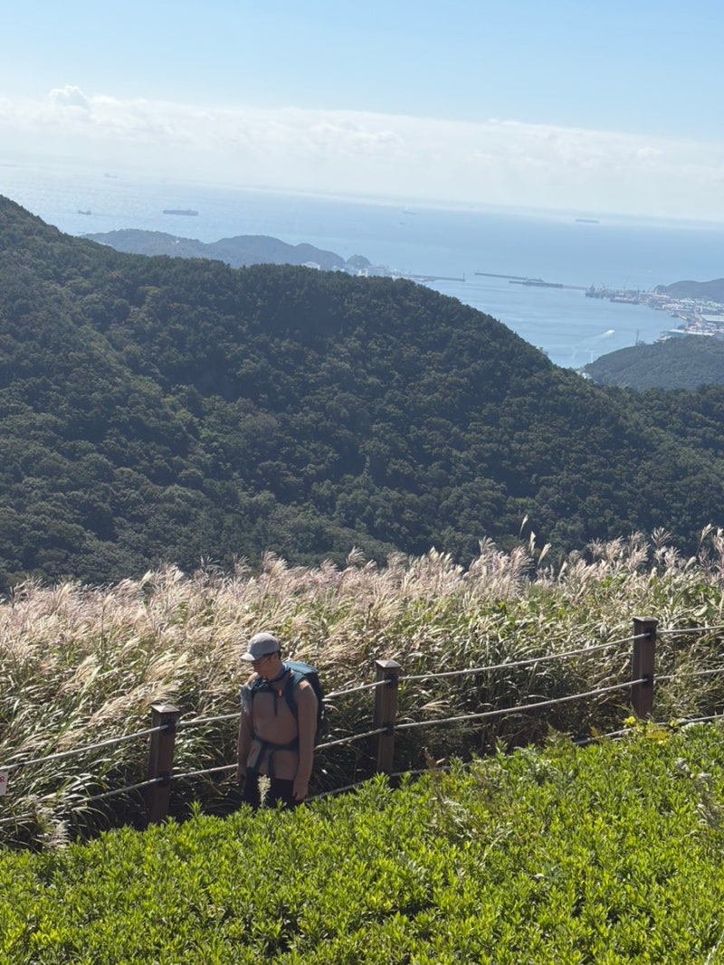 부산 승학산 억새 산행(치유의 숲 - 억새 군락지 - 정상 - 원점회귀). 억새 상황. 추천 코스. 부....