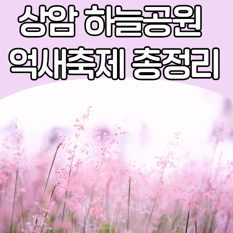 은빛 억새와 핑크뮬리 상암 하늘공원 억새축제 2026 완벽 정리! 맹꽁이차 대기 없는 꿀팁, 하....