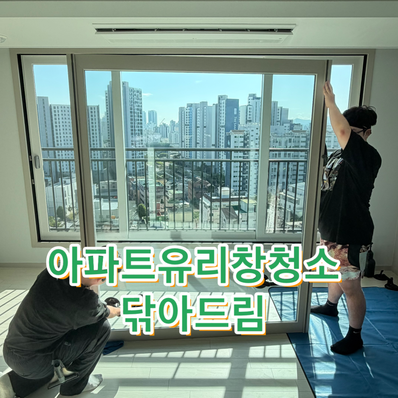 대구 아파트 유리창청소 비용과 작업범위