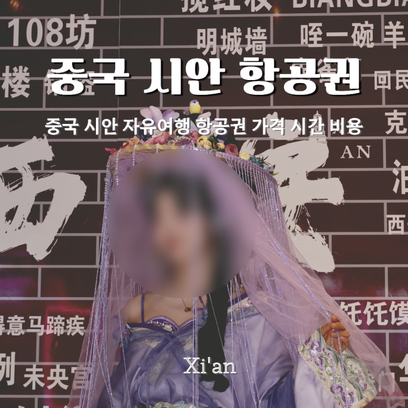 중국 시안 항공권 가격 할인코드 중국산동항공 경유 후기